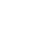 sbt